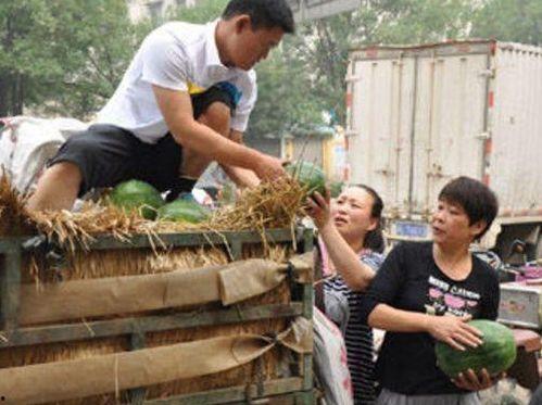 大城县吃瓜最新事件爆料,揭秘背后惊人真相